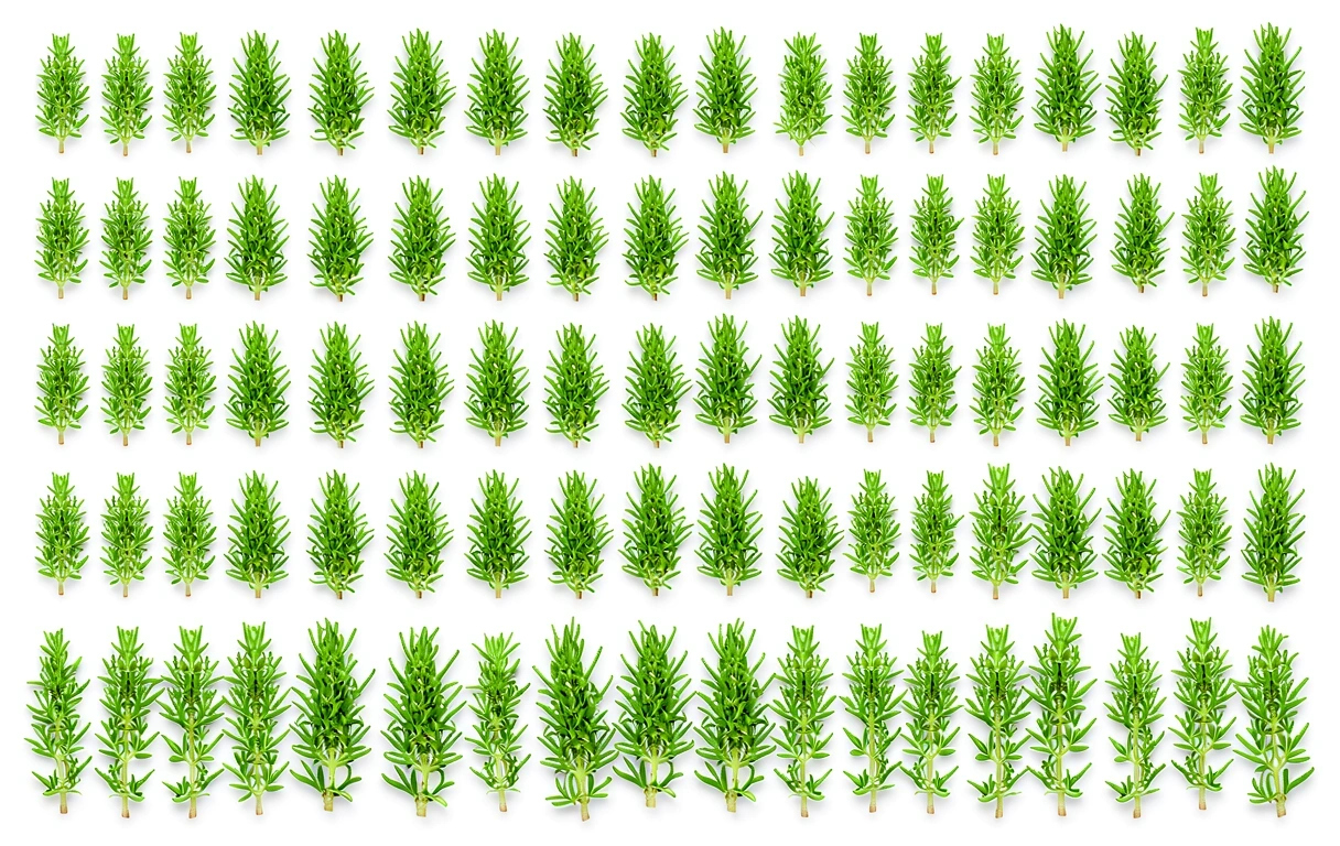 Botanical precision
